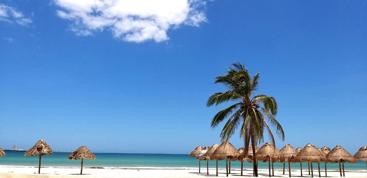 Hotel & Suites Domani Progreso  Extérieur photo