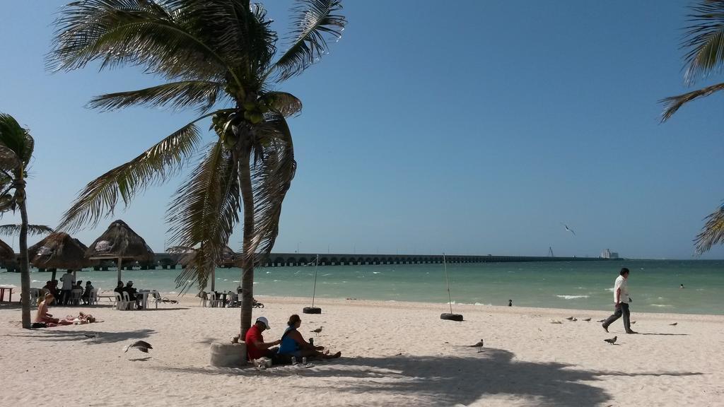 Hotel & Suites Domani Progreso  Extérieur photo